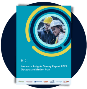 Innovator Insights Survey Report 2022