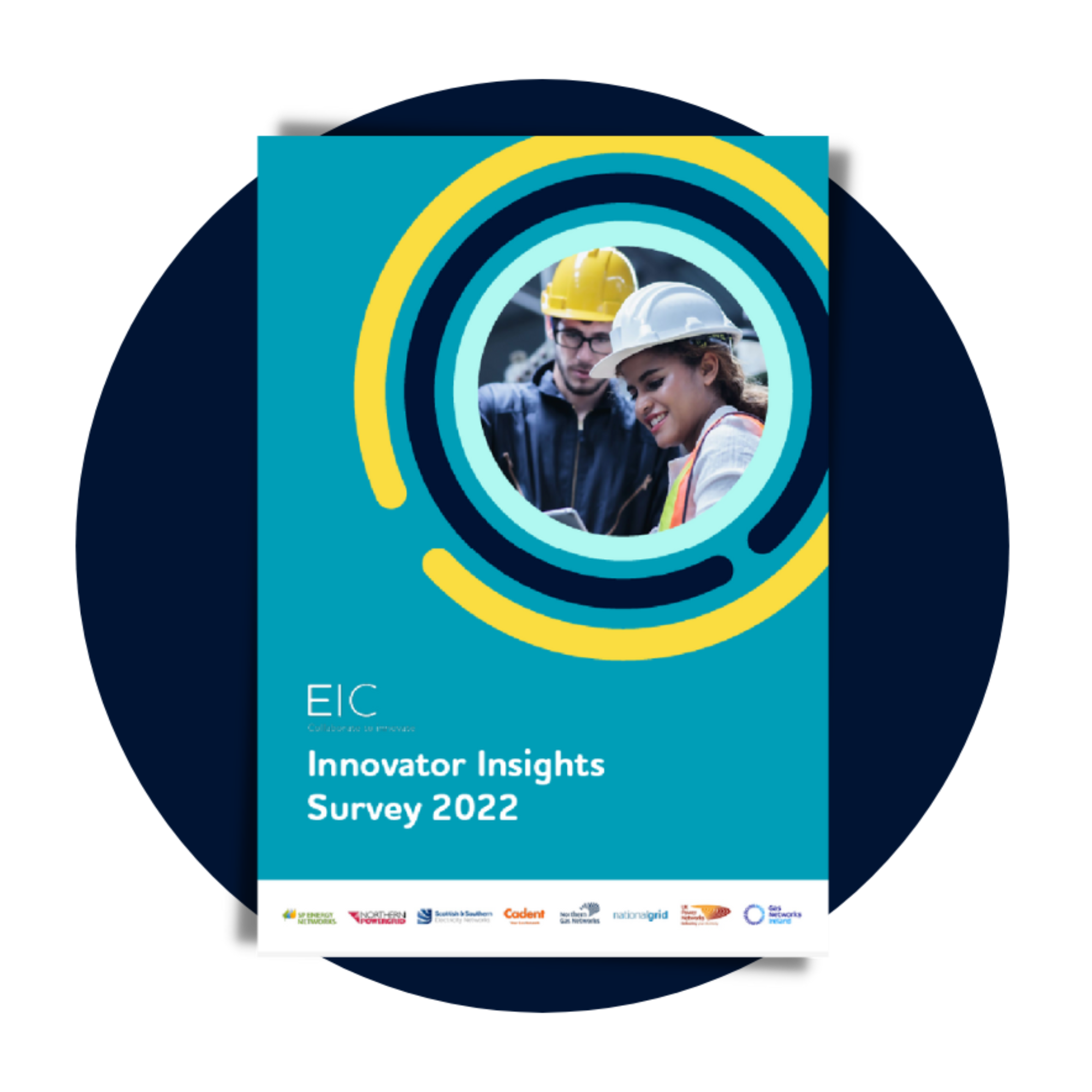 eic-innovator-insights-survey-2022